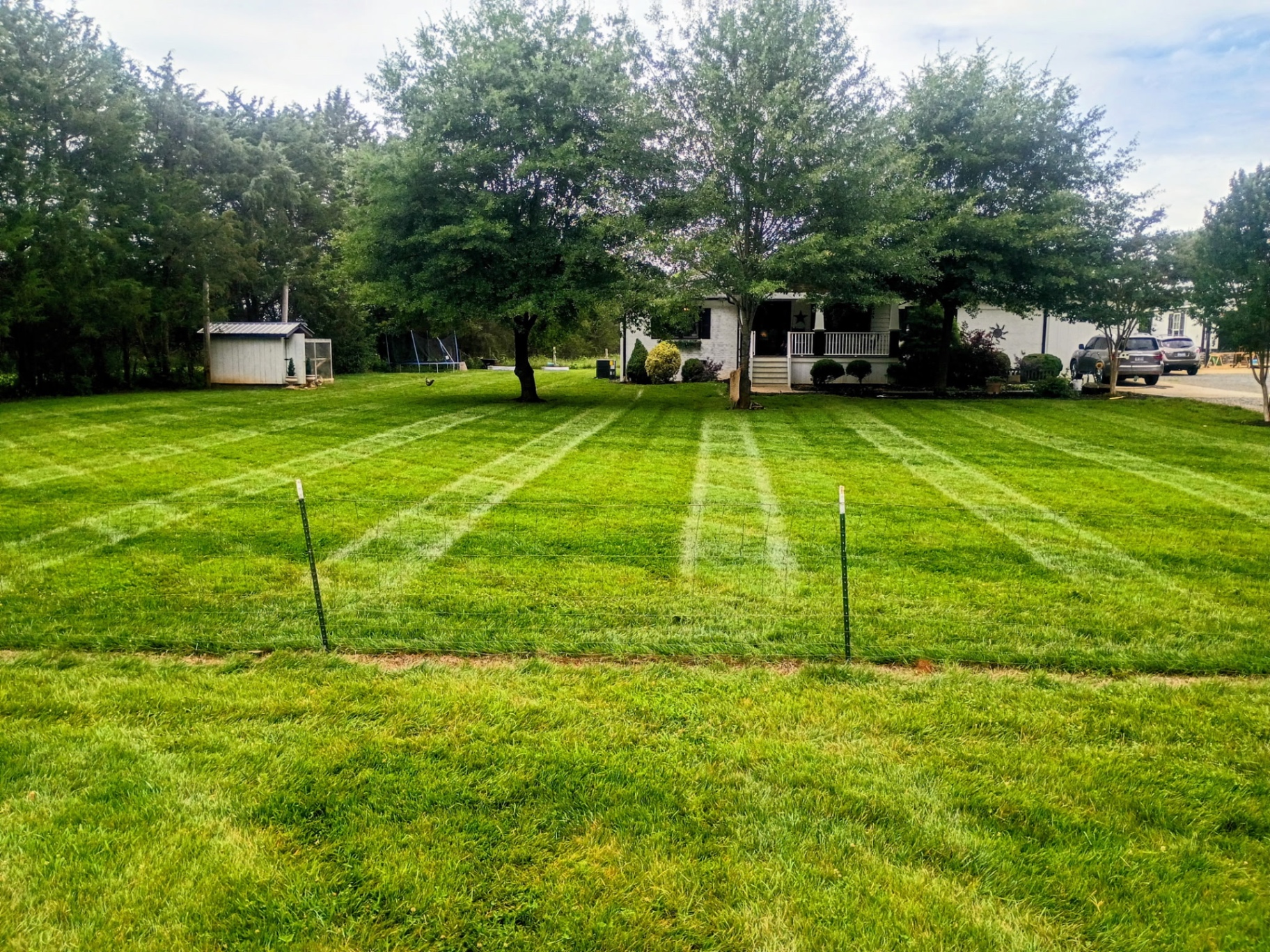 Weekly Mowing