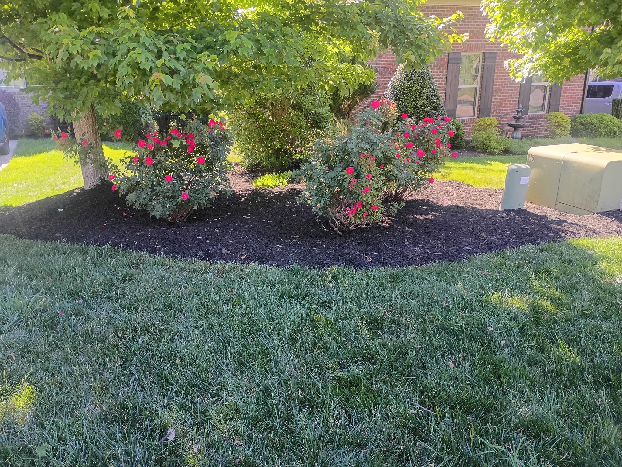 Cleanups & Maintenance